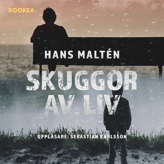 Bogomslag for Skuggor av liv