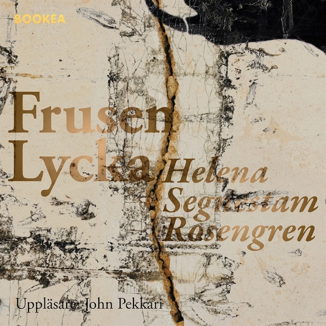 Book cover for Frusen lycka
