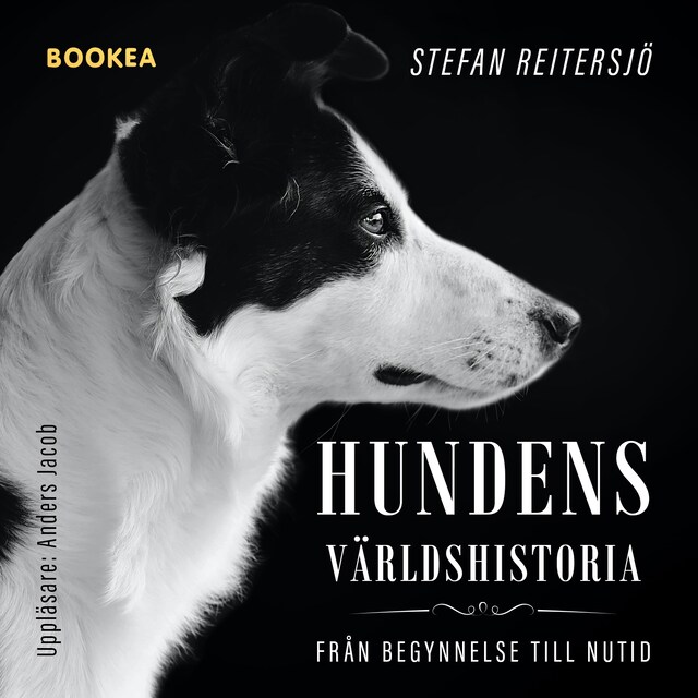 Book cover for Hundens världshistoria : från begynnelse till nutid