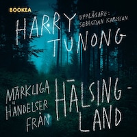Märkliga händelser från Hälsingland