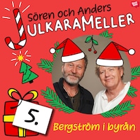 Bergström i byrån