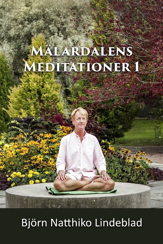 Buchcover für Mälardalens Meditationer 1