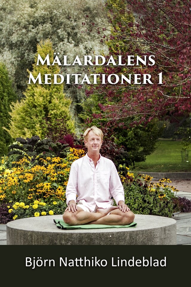 Book cover for Mälardalens Meditationer 1