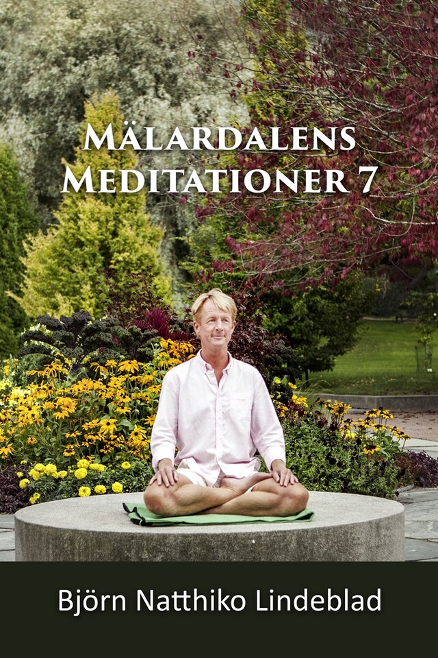 Portada de libro para Mälardalens Meditationer 7
