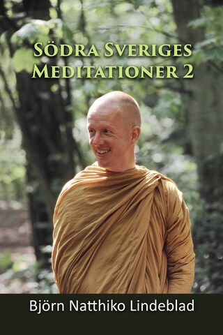 Södra Sverige Meditationer 2 bookCoverFor