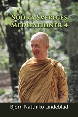 Södra Sverige Meditationer 4 bookCoverFor