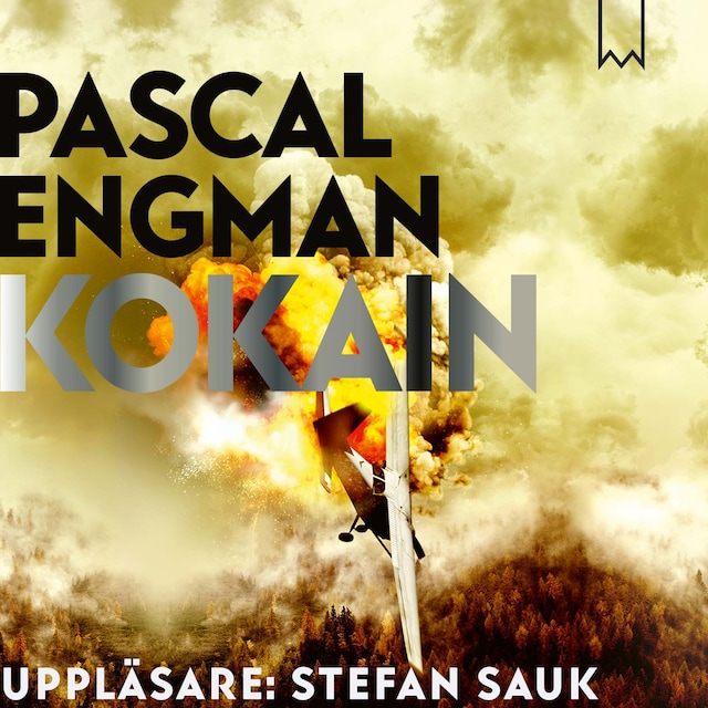 Book cover for Kokain