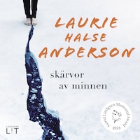 Skärvor av minnen