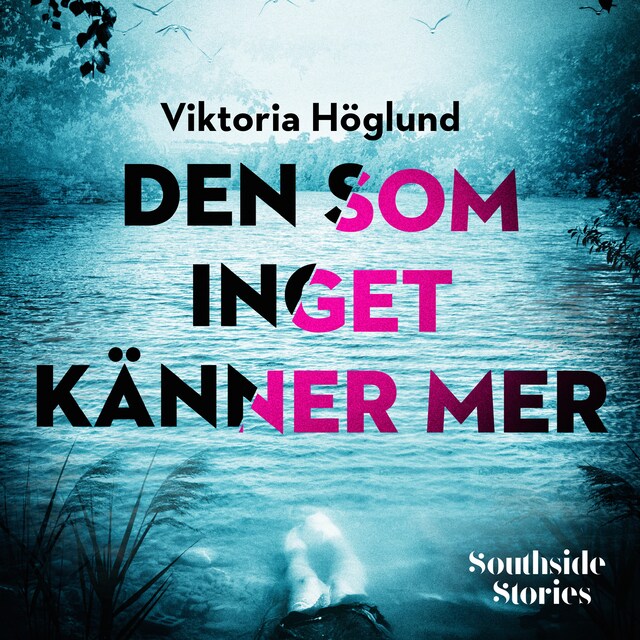 Copertina del libro per Den som inget känner mer