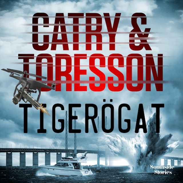 Book cover for Tigerögat