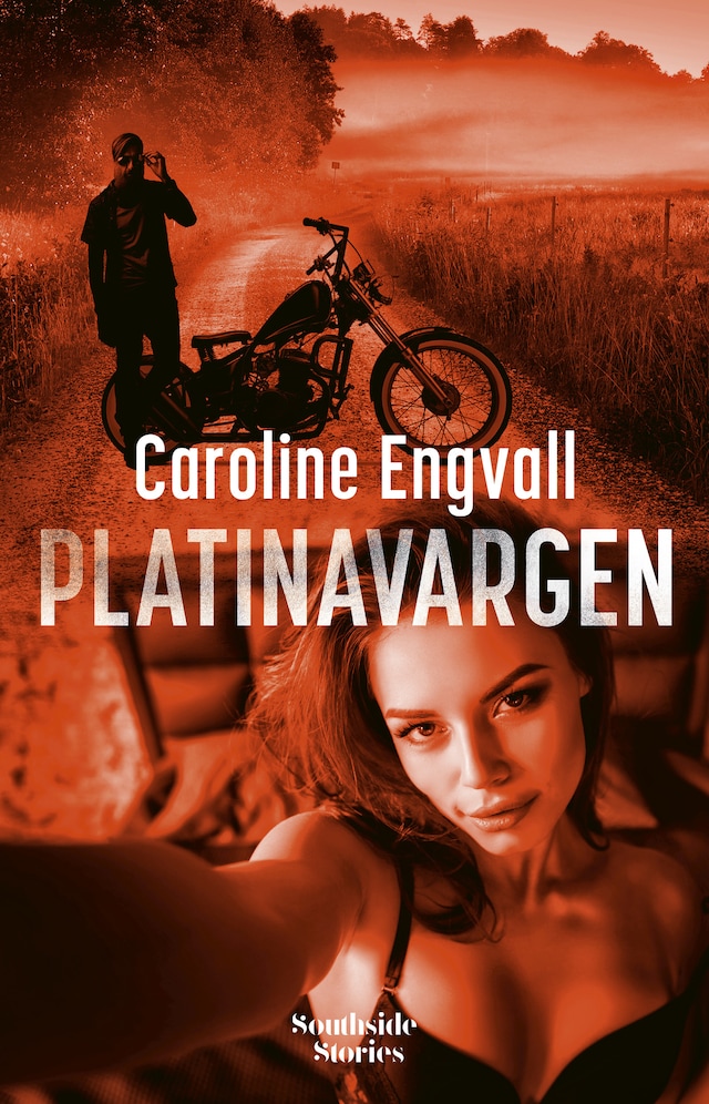 Book cover for Platinavargen