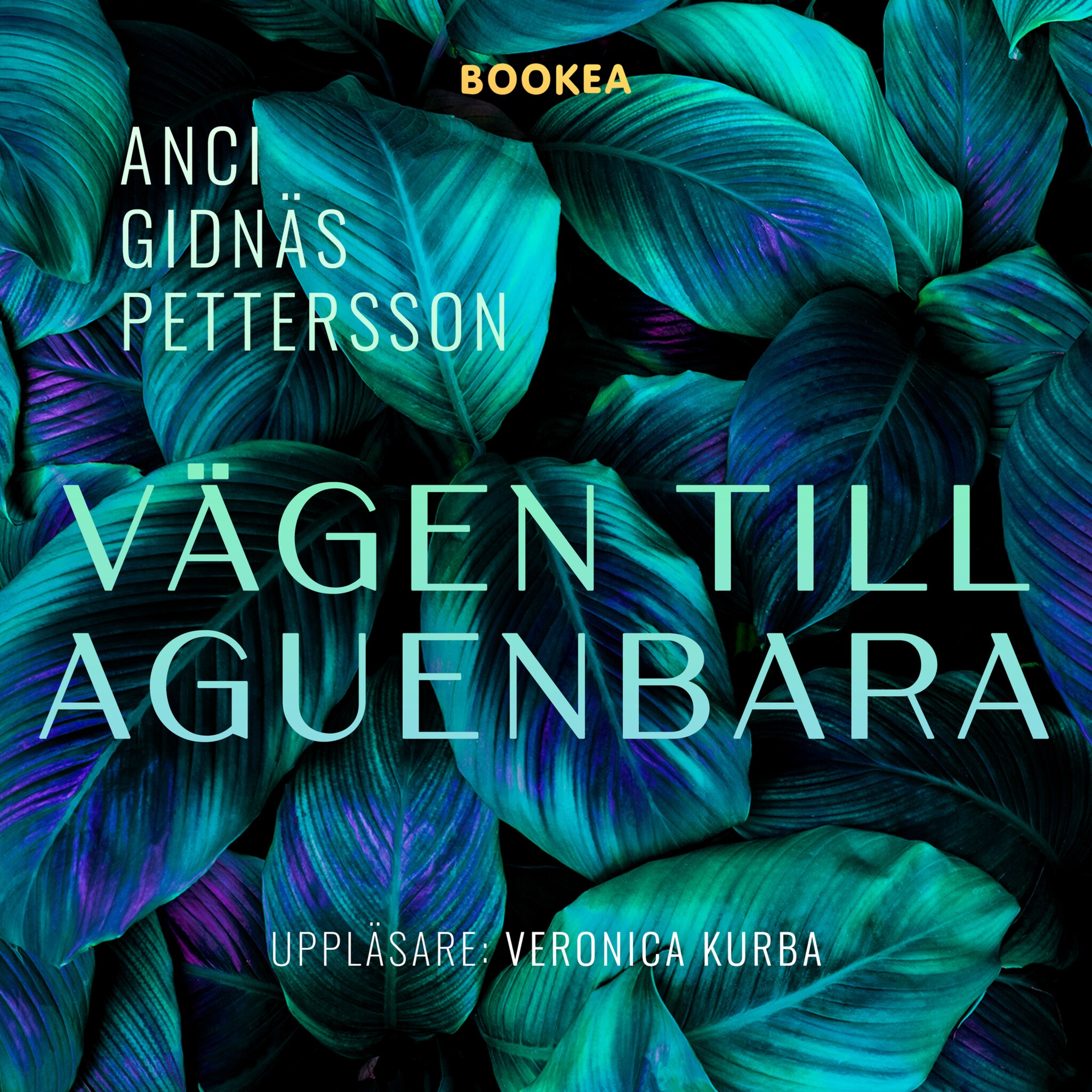 Vägen till Aguenbara
