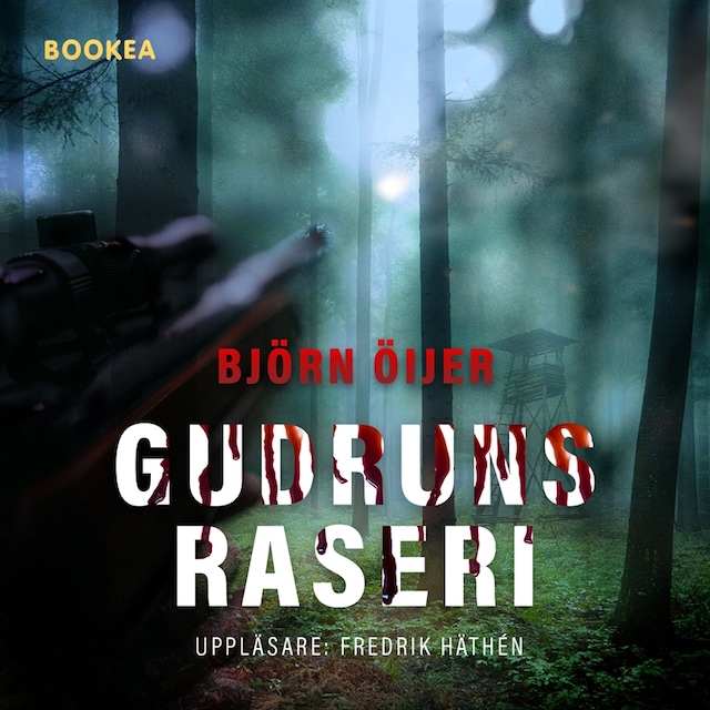 Book cover for Gudruns raseri