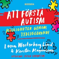 Att förstå autism : möjligheter genom tydliggörande
