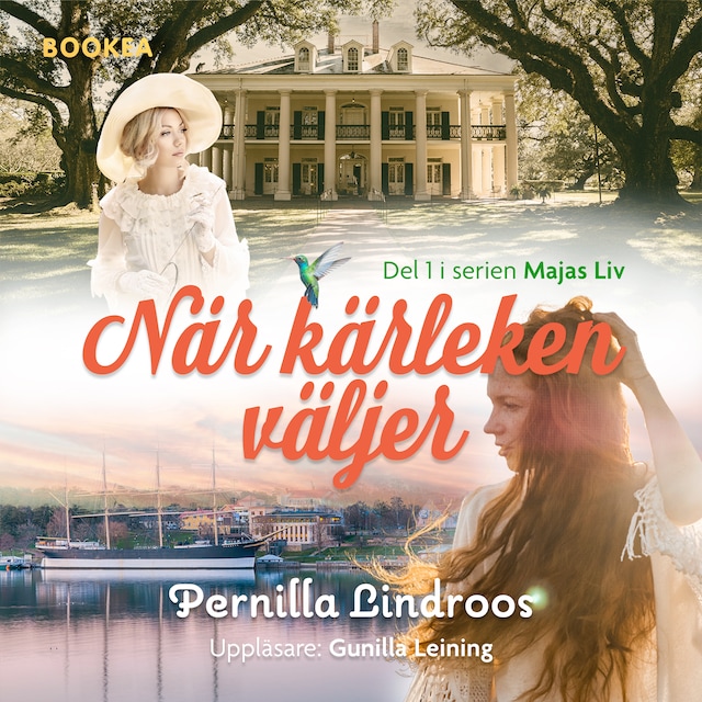 Book cover for När kärleken väljer