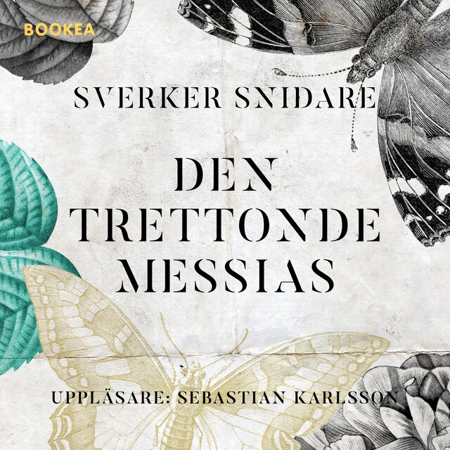 Bogomslag for Den trettonde Messias