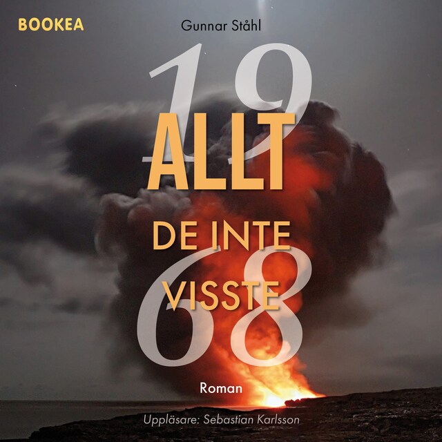 Copertina del libro per Allt de inte visste