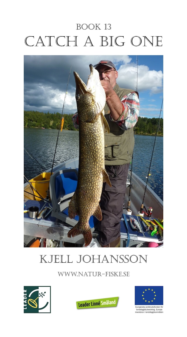 Book cover for Catch a Big One