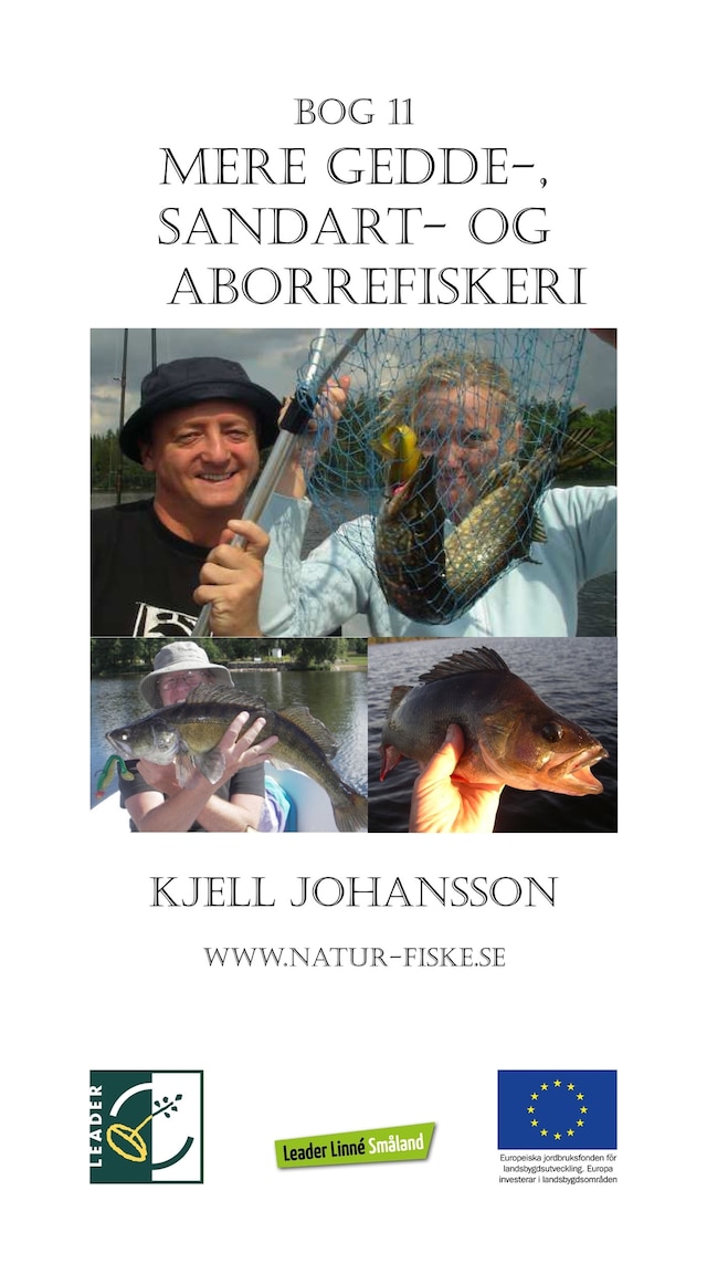 Book cover for Mere gedde, sandart- og aborrefiskeri