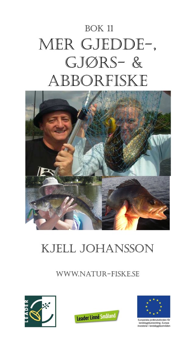 Bokomslag for Mer gjedde-, gjørs- og abborfiske