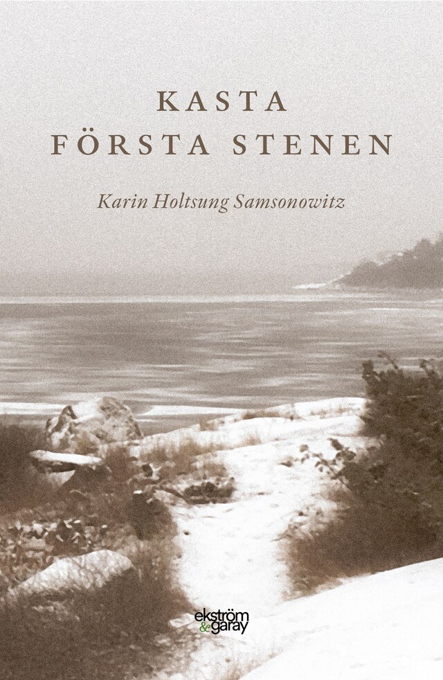 Book cover for Kasta första stenen