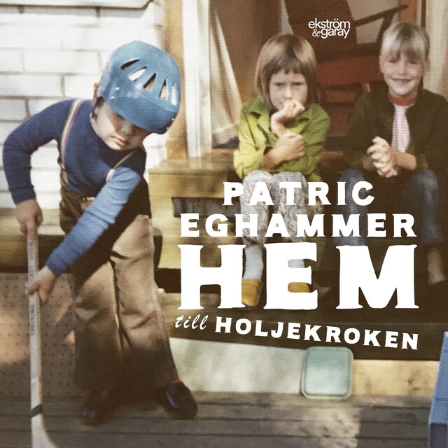Book cover for Hem till Holjekroken