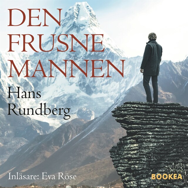 Book cover for Den frusne mannen