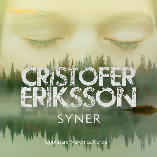 Book cover for Syner