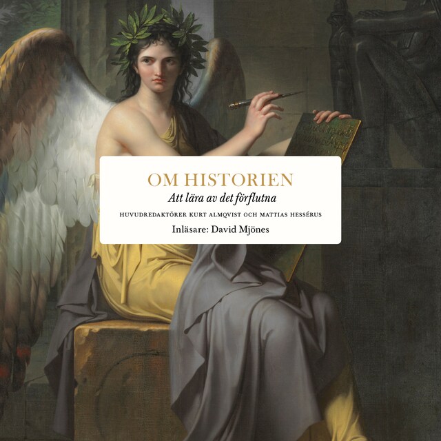 Book cover for Om historien