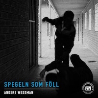 Spegeln som föll - en kriminalroman
