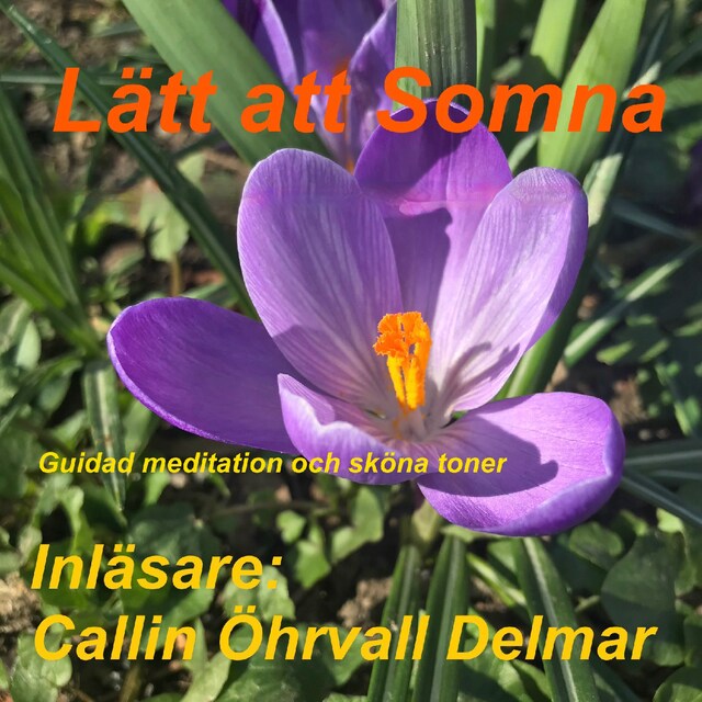 Lätt att Somna - Guidad meditation och sköna toner Book cover for Lätt att Somna - Guidad meditation och sköna toner