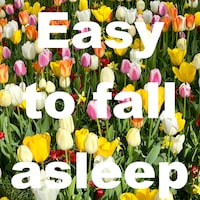 Easy to fall asleep