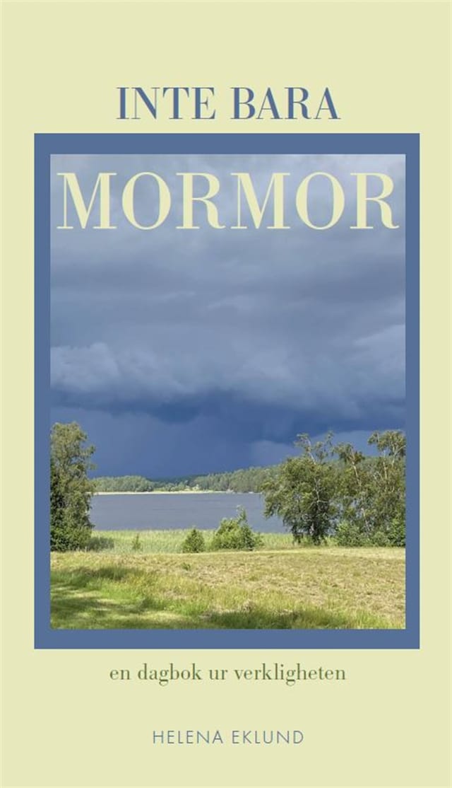 Book cover for Inte bara mormor : en dagbok ur verkliga livet