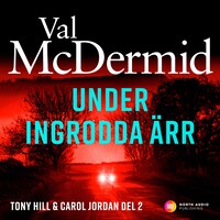 Under ingrodda ärr