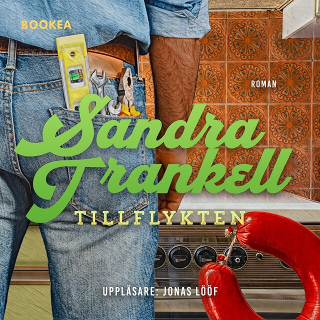 Book cover for Tillflykten