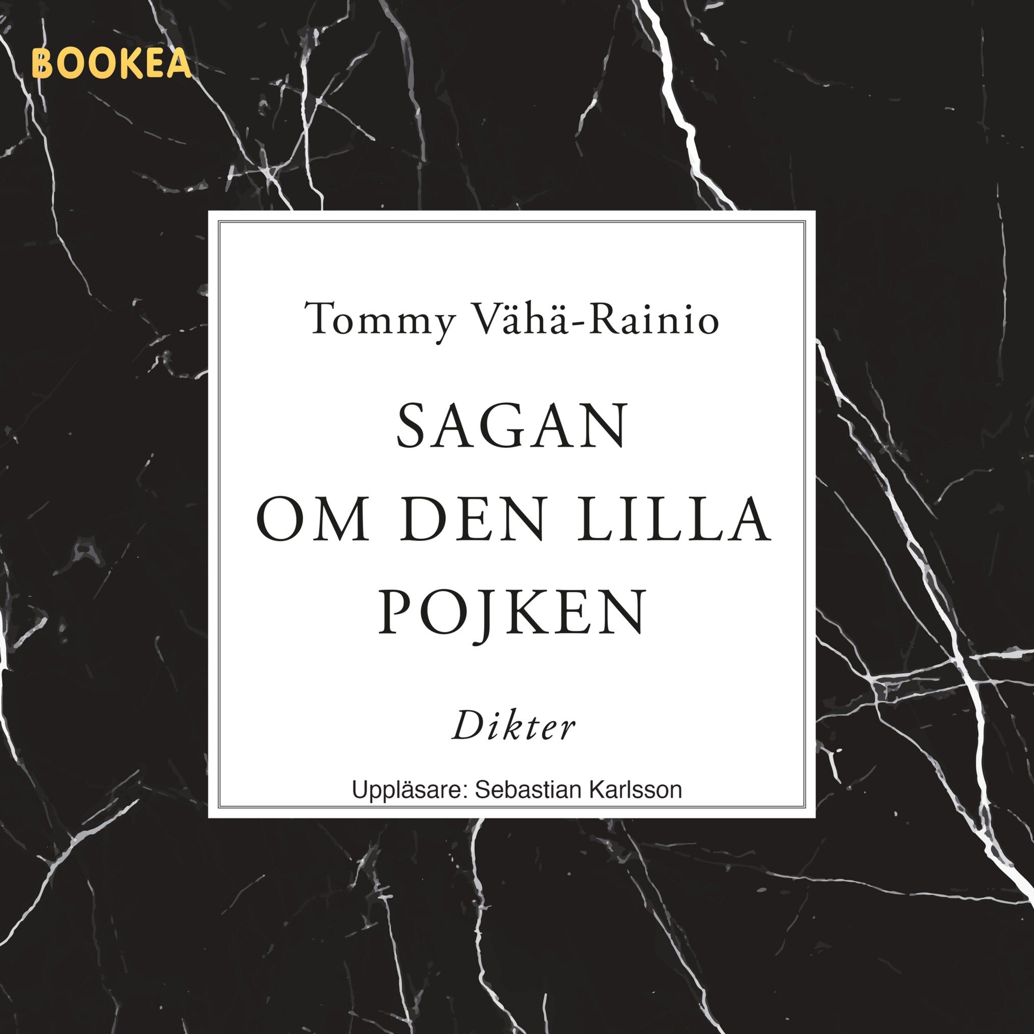 Sagan om den lilla pojken