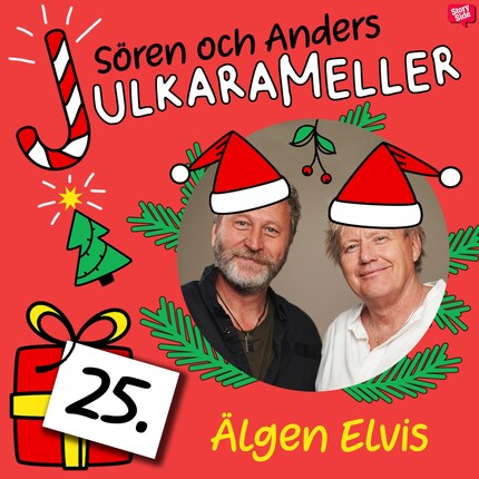 Älgen Elvis bookCoverFor