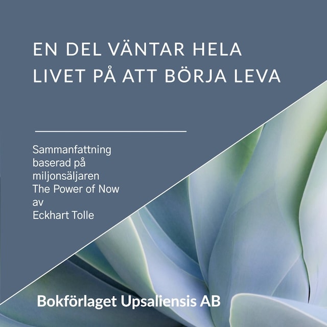 Portada de libro para En del väntar hela livet på att börja leva, sammanfattning baserad på miljonsäljaren The Power of Now, av författaren Eckhart Tolle.