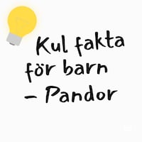 Kul fakta för barn: Pandor