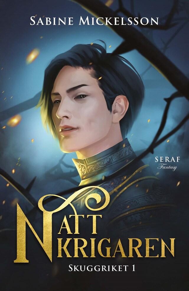 Book cover for Nattkrigaren