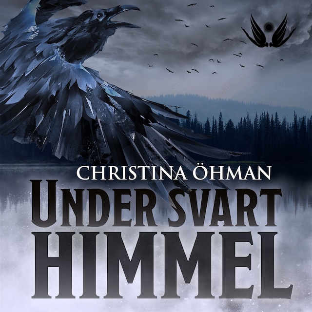Book cover for Under svart himmel