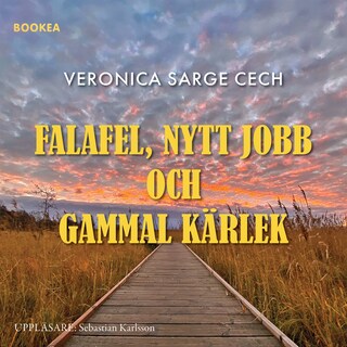 Falafel, nytt jobb och gammal kärlek bookCoverFor