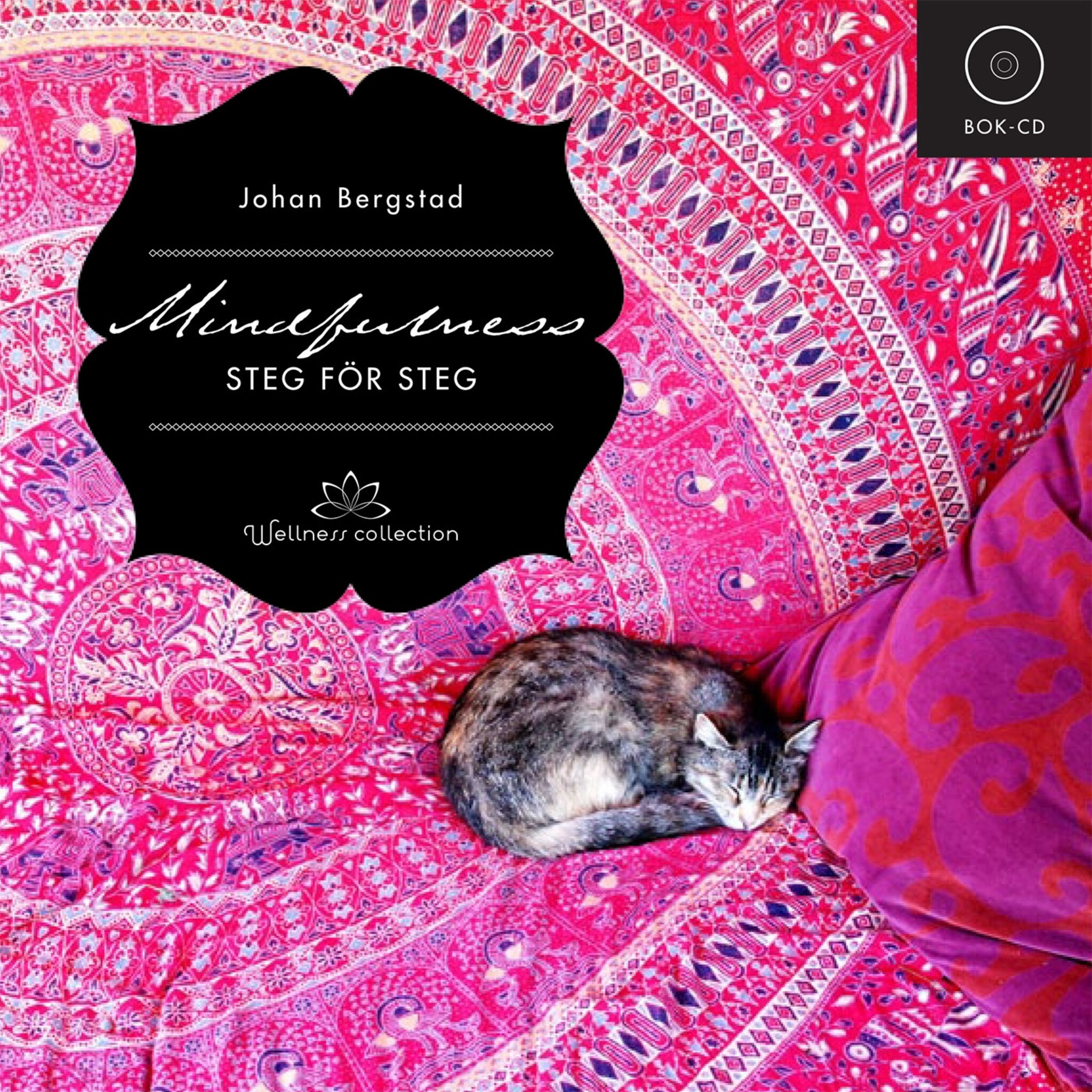 Mindfulness steg för steg