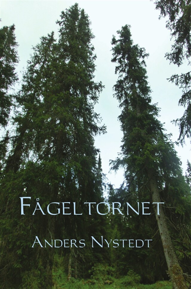 Buchcover für Fågeltornet