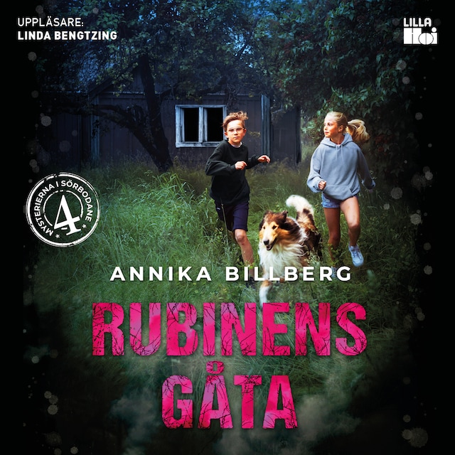 Book cover for Rubinens gåta