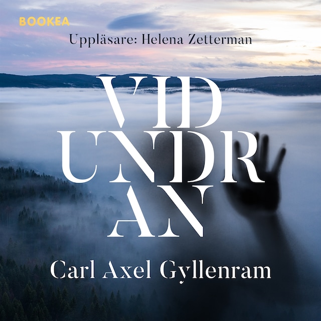 Book cover for Vidundran