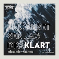 I mörkret ser jag dig klart