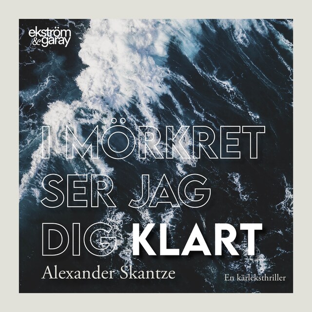 Book cover for I mörkret ser jag dig klart