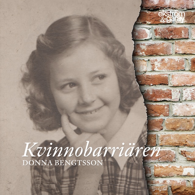 Book cover for Kvinnobarriären