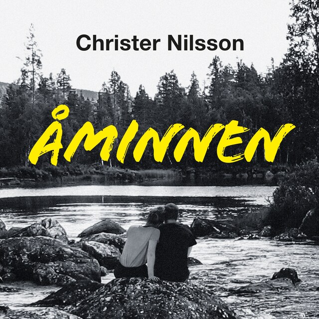 Buchcover für Åminnen